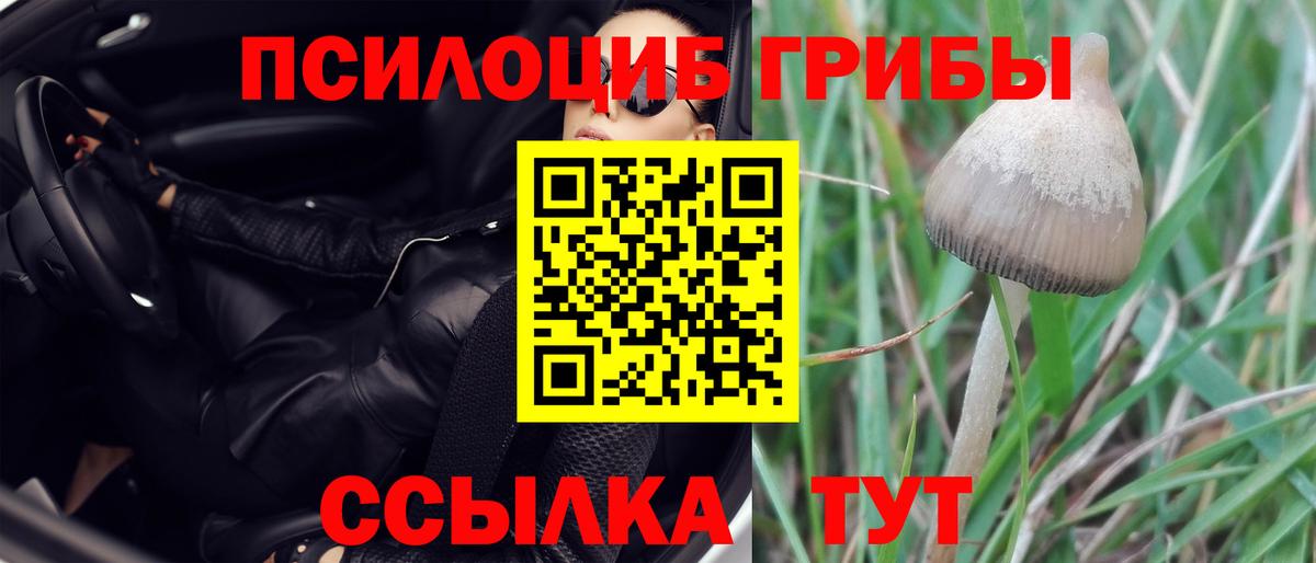 Каменск-Шахтинский  Галлюциногенные грибы ЛСД  Вход с VPN 